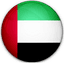 United Arab Emirates logo