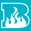 Brisbane Heat Women logo