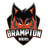 Brampton Blazers logo