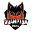 Brampton Blazers logo