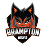 Brampton Blazers logo