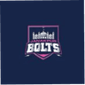 Janakpur Bolts logo