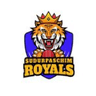Sudurpaschim Royals logo