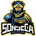 Sonseca Sultans logo