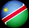 Namibia logo