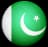Pakistan XI logo