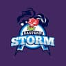 Eastern Storm logo