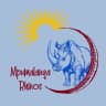 Mpumalanga Rhinos logo