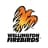 Wellington Firebirds logo
