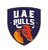 UAE Bulls logo