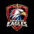 Emirates Eagles logo
